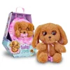 Baby Paws Peluche Cocker>Otras marcas Outlet