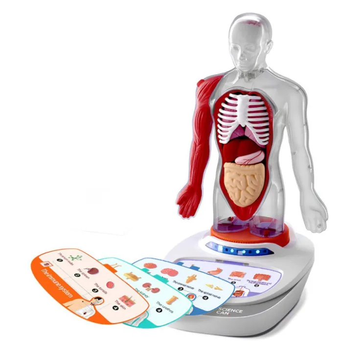 Canal Science Mi Cuerpo Voz Pedia 3D>Otras marcas Sale