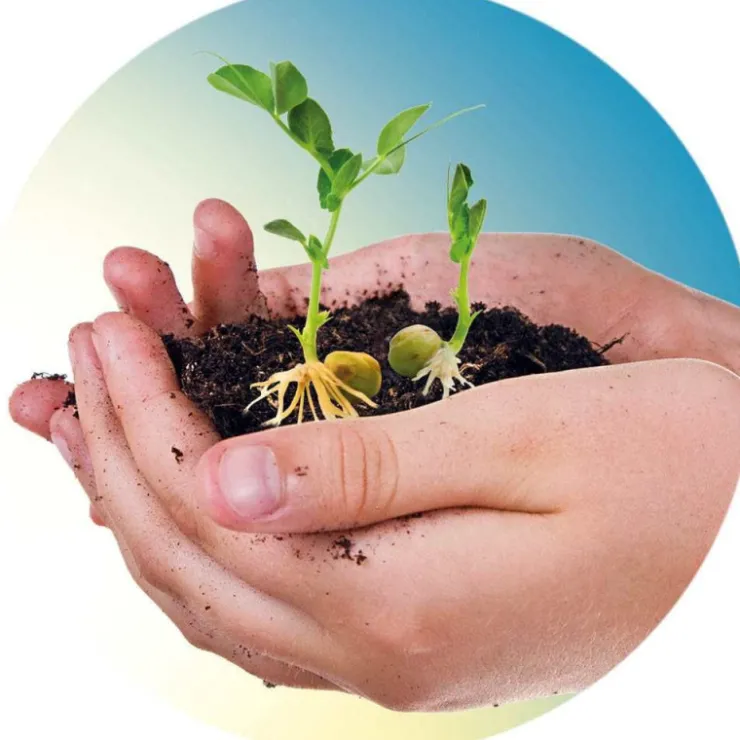 la Biosfera>Ciencia y juego New