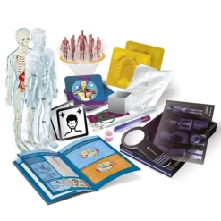 Superanatomía><noscript><img width=