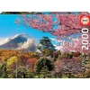 Educa Puzzle 2000 Piezas Castillo de Osaka Japón - 19276>Otras marcas Discount