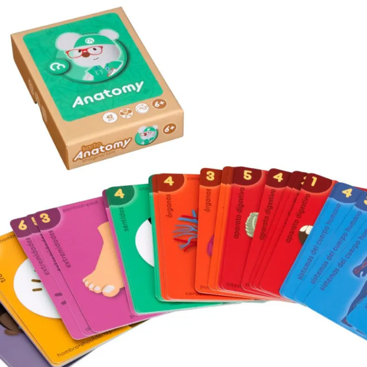 Imaginarium Karto-Anatomy> Sale