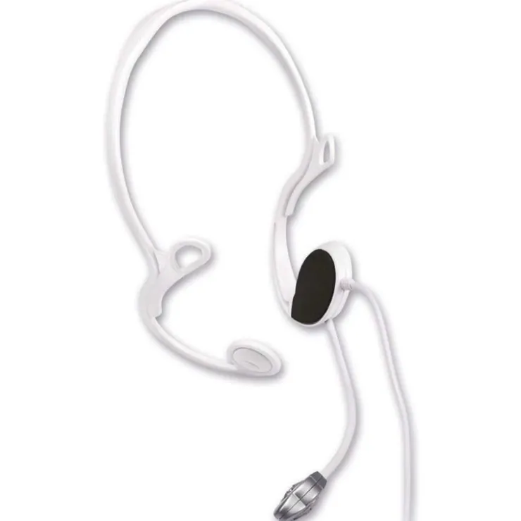 Micrófonos Canta a Dúo>La banda Discount