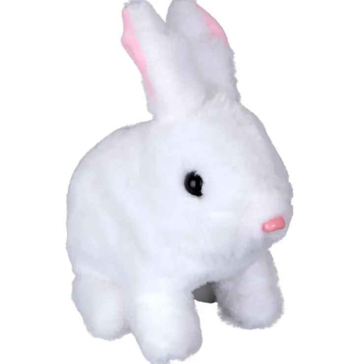 Set Veterinario>Mascottas Best