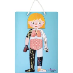 Aprendo el Cuerpo Humano Magnético><noscript><img width=