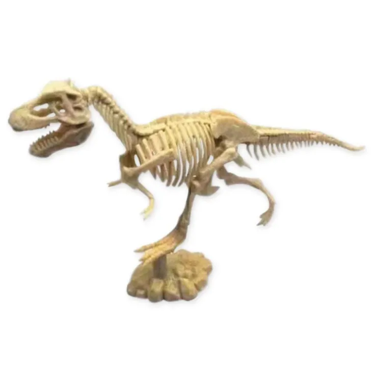 Set De Excavación>Scientific tools Hot