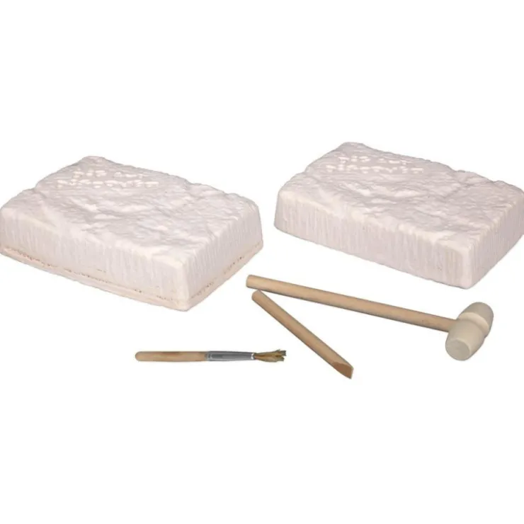 Set De Excavación>Scientific tools Hot